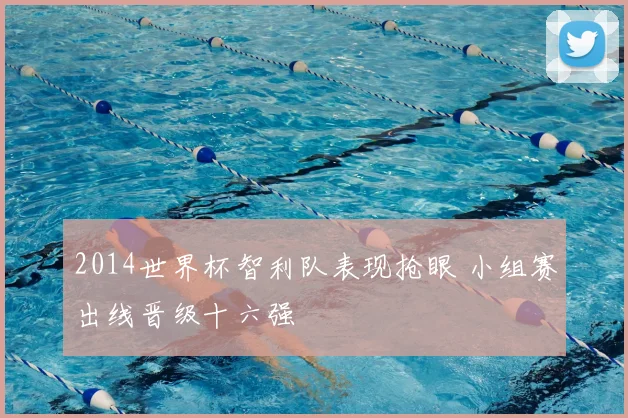 2014世界杯智利队表现抢眼 小组赛出线晋级十六强