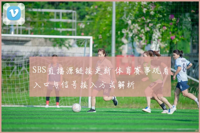 SBS直播源链接更新 体育赛事观看入口与信号接入方式解析