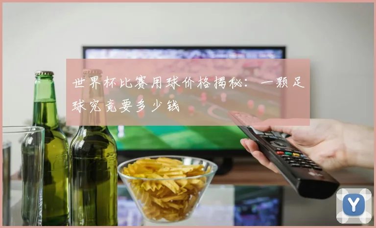世界杯比赛用球价格揭秘:一颗足球究竟要多少钱